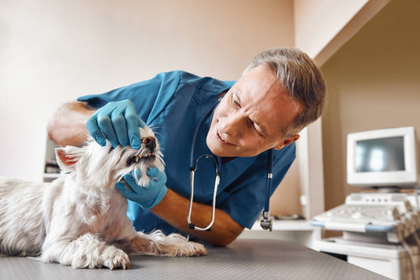 Best Emergency Tooth Extraction in Pharr, TX