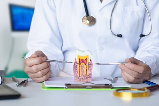 Best Emergency Root Canal Treatment in Pharr, TX